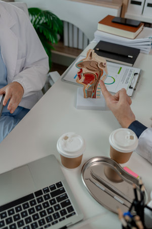 two ENT specialists are discussing the most appropriate treatment for a patient, the two doctors are exchanging their opinions on ENT treatment, anatomy, stethoscope, modelの写真素材