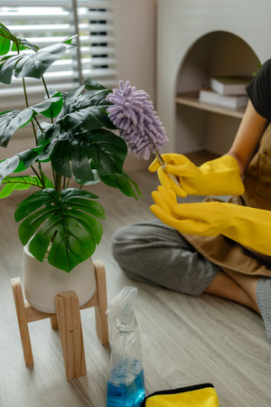 cleaning every single furnitures and decorations to keep them clean and neat before her parent back home, remove dust in living room with spray and towel, wearing gloves and apron.の写真素材