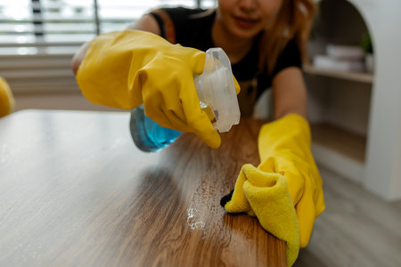 cleaning every single furnitures and decorations to keep them clean and neat before her parent back home, remove dust in living room with spray and towel, wearing gloves and apron.の写真素材