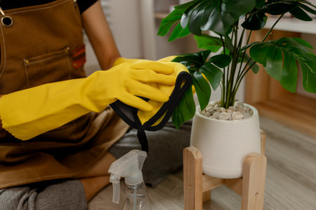 cleaning every single furnitures and decorations to keep them clean and neat before her parent back home, remove dust in living room with spray and towel, wearing gloves and apron.の写真素材