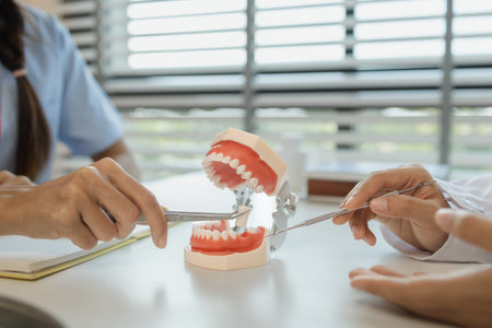 the dentist is explaining to the assistant how she will treat a patient with wisdom teeth, the two dentists discussed the treatment plan for the patient with root canal treatmentの写真素材