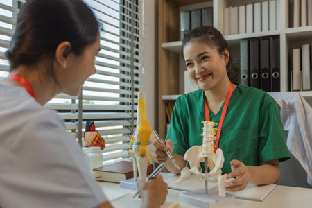 two medical students are discussing treatment guidelines for a patient assigned to them by a senior physician, consultation between two doctors in the officeの写真素材