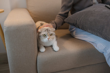 she spends her free time at home with her cat, she and her cat sit on the sofa on the weekend at the apartment, the adorable cat sits next to its owner, her pet is a lovely cat that lives in the houseの写真素材