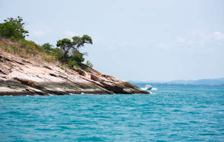 rock promontory and tree with moss in the seaの写真素材