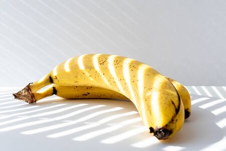 two ripe bananas on a white background. Bananas are located on a light background lit by the sun through closed blinds. Spotted overripe bananas.の写真素材