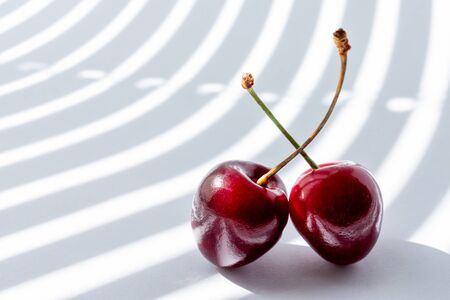 two cherry on white background illuminated by the rays of the sun from the window passing through the half-open blinds. copy space. modern Studio photography.の写真素材