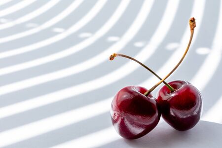 two cherry on white background illuminated by the rays of the sun from the window passing through the half-open blinds. copy space. modern Studio photography.の写真素材