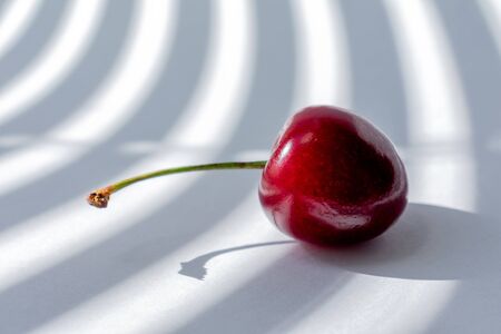 one cherry on white background illuminated by the rays of the sun from the window passing through the half-open blinds. modern Studio photography.の写真素材