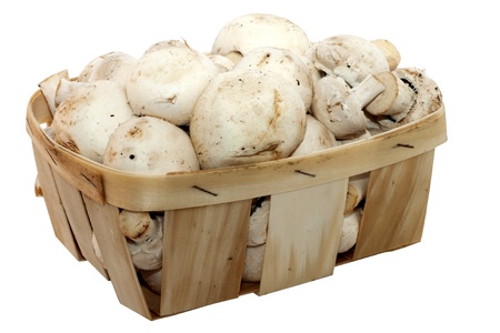 Wooden Basket with champignons isolated on white backgroundの写真素材