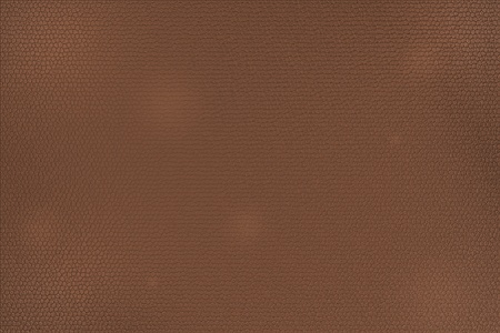Brown Leather texture. Illustration was prepare by Photoshopの写真素材
