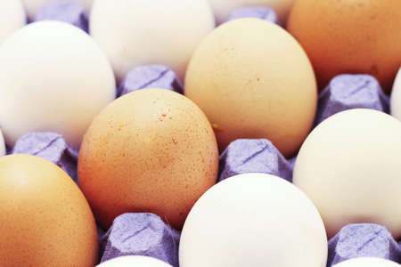 Tray with white and brown eggs close upの写真素材