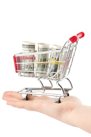 Shopping cart and dollars on the whiteの写真素材