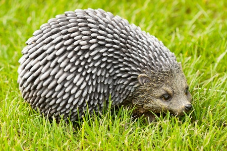Closeup toy Hedgehog on a green grassの写真素材