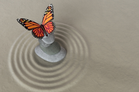 Japanese zen garden meditation stone for concentration and relaxation with butterflyの写真素材