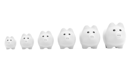 Growing investment concept.  Piggy Banks in row on a white backgroundの写真素材