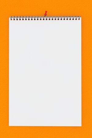 Blank Wall Calendar with spring on a orange wallの写真素材