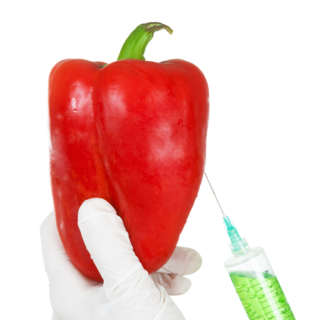 Genetically Modified Products Concept. Red Paprica Pepper Being Injected with Syringe on white on a white backgroundの写真素材