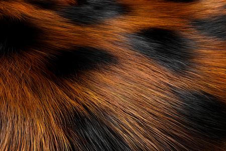 Animal Fur Spotted Texture of Leopard extreme closeup. 3d Rendering