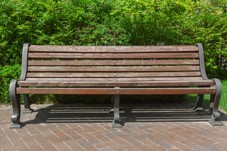 Wooden Old Bench in Retro Style in Public Park on the Trimmed Evergreen Shrub Backgroundの写真素材