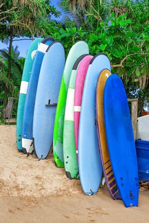 Vintage Multicolored Surfboards on Asian Ocean Beach extreme closeupの写真素材