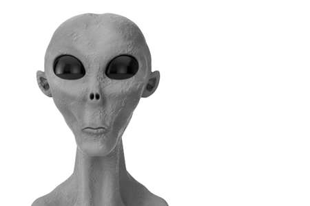 Portrait of a Gray Alien on a white background. 3d Rendering