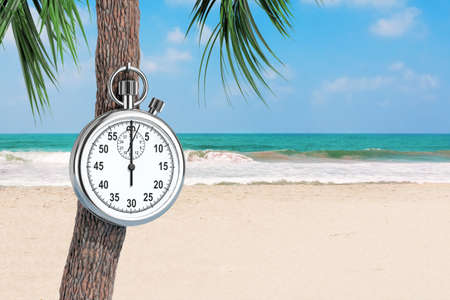 Chrome Stopwatch Hanging on a Palm Tree on an Ocean Sand Beach background. 3d Renderingの写真素材