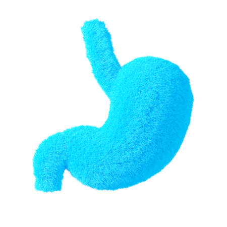 Abstract Human Blue Fur Stomach Anatomy Internal Organ on a white background. 3d Renderingの写真素材