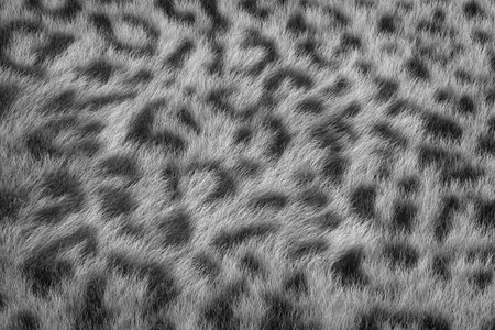 Gray Leopard Skin Real Fur Hair Background Texture extreme closeup. 3d Renderingの写真素材