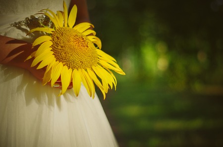 Bride with bouquet of sunflowers in hands.Moldova.の写真素材