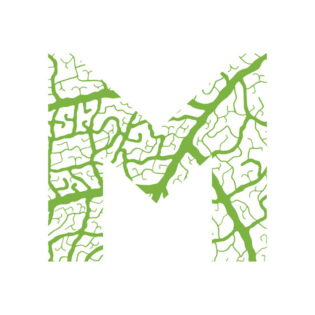 Nature alphabet, ecology decorative font. Capital letter M filled with leaf veins pattern green background. Leaves texture hand draw nature alphabet. Vector illustration.のイラスト素材