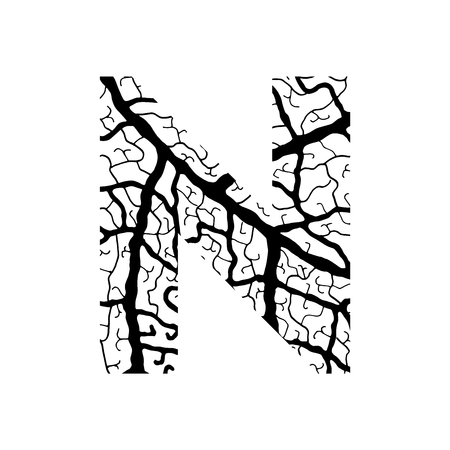 Nature alphabet, ecology decorative font. Capital letter N filled with leaf veins pattern black on white background. Leaves texture hand draw nature alphabet. Vector illustration.のイラスト素材