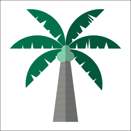 Palm tree icon isolated vector illustration. Cartoon symbol in material flat style design.のイラスト素材