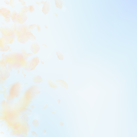 Yellow orange flower petals falling down. Stylish romantic flowers gradient. Flying petal on blue sky square background. Love, romance concept. Brilliant wedding invitation.のイラスト素材