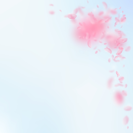 Sakura petals falling down. Romantic pink flowers corner. Flying petals on blue sky square background. Love, romance concept. Captivating wedding invitation.のイラスト素材