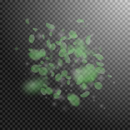 Green flower petals falling down. Noteworthy romantic flowers explosion. Flying petal on transparent square background. Love, romance concept. Attractive wedding invitation.のイラスト素材