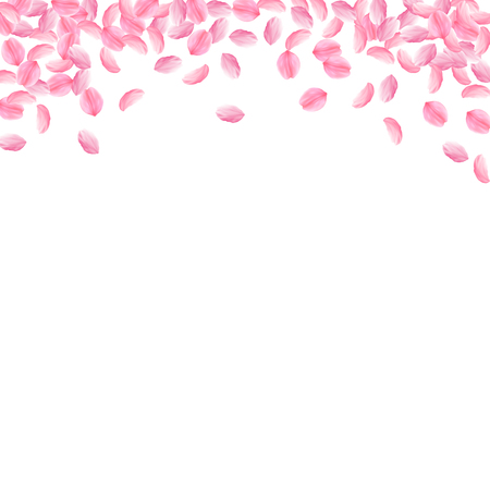 Sakura petals falling down. Romantic pink bright medium flowers. Thick flying cherry petals. Square top border favorable vector background. Love, affection, romance concept.のイラスト素材