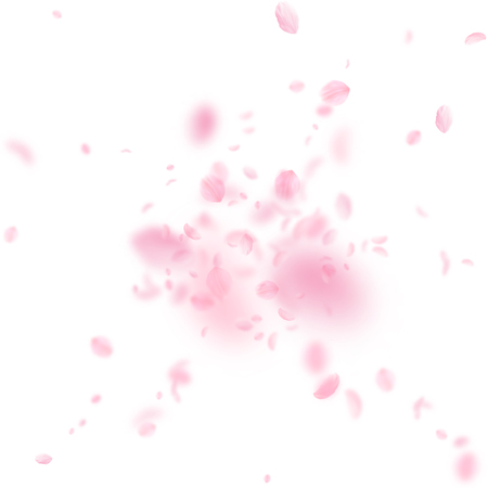 Sakura petals falling down. Romantic pink flowers explosion. Flying petals on white square background. Love, romance concept. Extraordinary wedding invitation.のイラスト素材