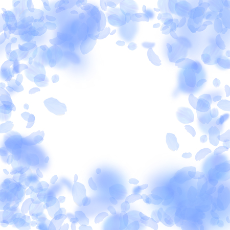 Dark blue flower petals falling down. Alluring romantic flowers vignette. Flying petal on white square background. Love, romance concept. Dazzling wedding invitation.のイラスト素材