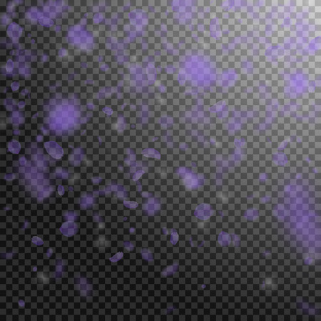 Violet flower petals falling down. Good-looking romantic flowers gradient. Flying petal on transparent square background. Love, romance concept. Classic wedding invitation.のイラスト素材