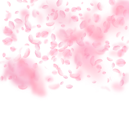 Sakura petals falling down. Romantic pink flowers gradient. Flying petals on white square background. Love, romance concept. Artistic wedding invitation.のイラスト素材