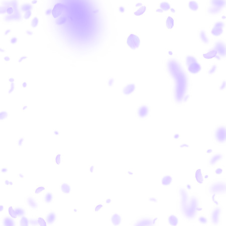Violet flower petals falling down. Divine romantic flowers vignette. Flying petal on white square background. Love, romance concept. Cute wedding invitation.のイラスト素材