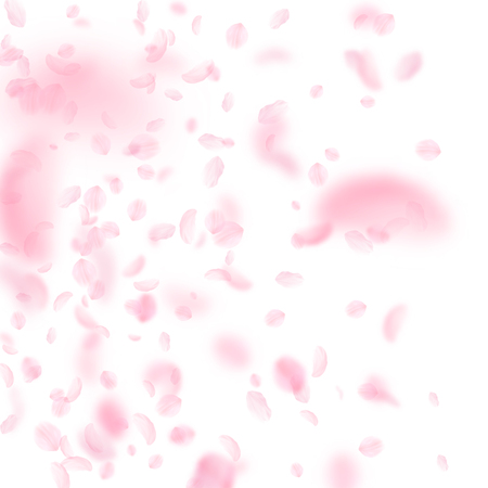 Sakura petals falling down. Romantic pink flowers gradient. Flying petals on white square background. Love, romance concept. Breathtaking wedding invitation.のイラスト素材