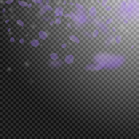 Violet flower petals falling down. Creative romantic flowers gradient. Flying petal on transparent square background. Love, romance concept. Cool wedding invitation.のイラスト素材