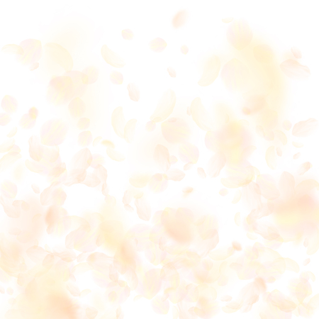 Yellow orange flower petals falling down. Imaginative romantic flowers gradient. Flying petal on white square background. Love, romance concept. Comely wedding invitation.のイラスト素材