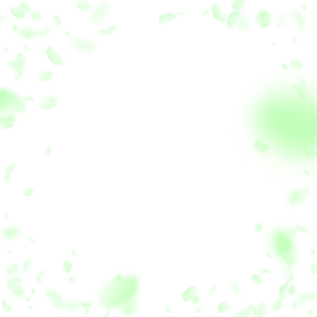 Green flower petals falling down. Uncommon romantic flowers vignette. Flying petal on white square background. Love, romance concept. Dazzling wedding invitation.のイラスト素材