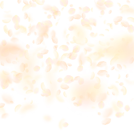 Yellow orange flower petals falling down. Overwhelming romantic flowers gradient. Flying petal on white square background. Love, romance concept. Bold wedding invitation.のイラスト素材