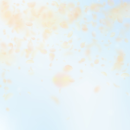 Yellow orange flower petals falling down. Grand romantic flowers falling rain. Flying petal on blue sky square background. Love, romance concept. Authentic wedding invitation.のイラスト素材