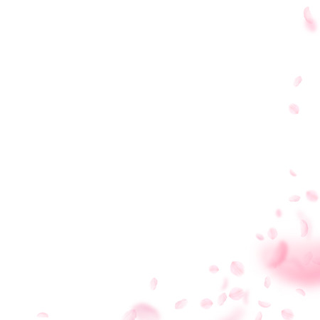 Sakura petals falling down. Romantic pink flowers corner. Flying petals on white square background. Love, romance concept. Remarkable wedding invitation.のイラスト素材