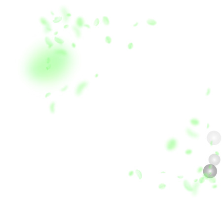 Green flower petals falling down. Nice romantic flowers corner. Flying petal on white square background. Love, romance concept. Alluring wedding invitation.のイラスト素材