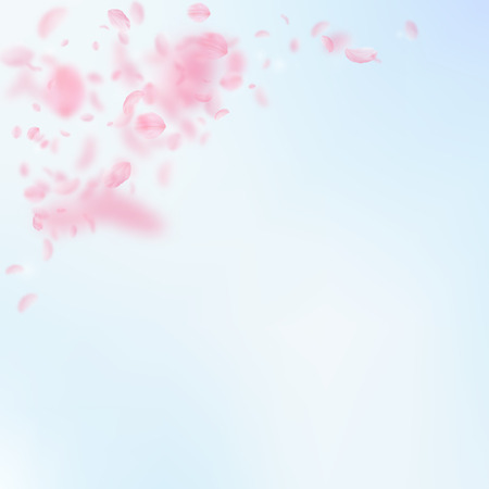 Sakura petals falling down. Romantic pink flowers corner. Flying petals on blue sky square background. Love, romance concept. Bizarre wedding invitation.のイラスト素材